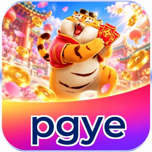 pgye Interface